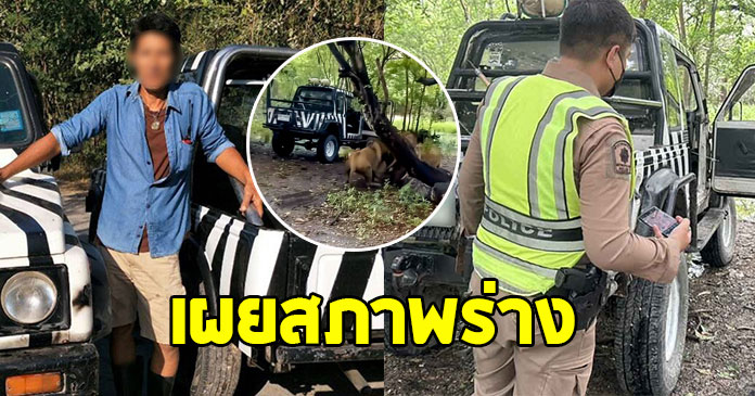 เผยสภาพร่าง เจ้าหน้าที่ถูกสิงโตขย้ำ คาดเข้ามาเล่นด้วย