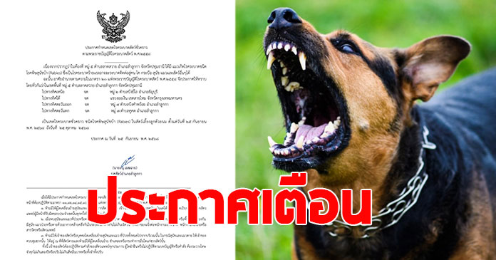 ด่วนเฝ้าระวัง “โรคพิษสุนัขบ้า” มีเขตไหนบ้างเช็กเลย